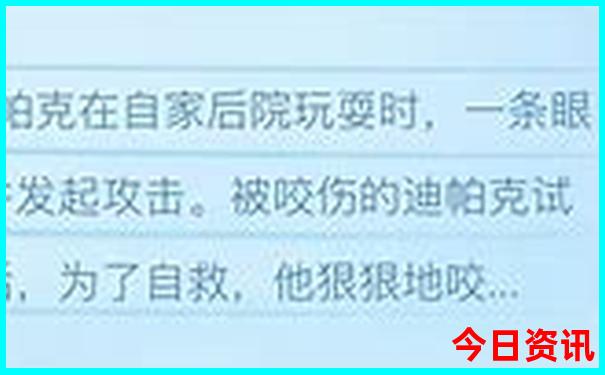 水果奶奶正版免费资料的特点